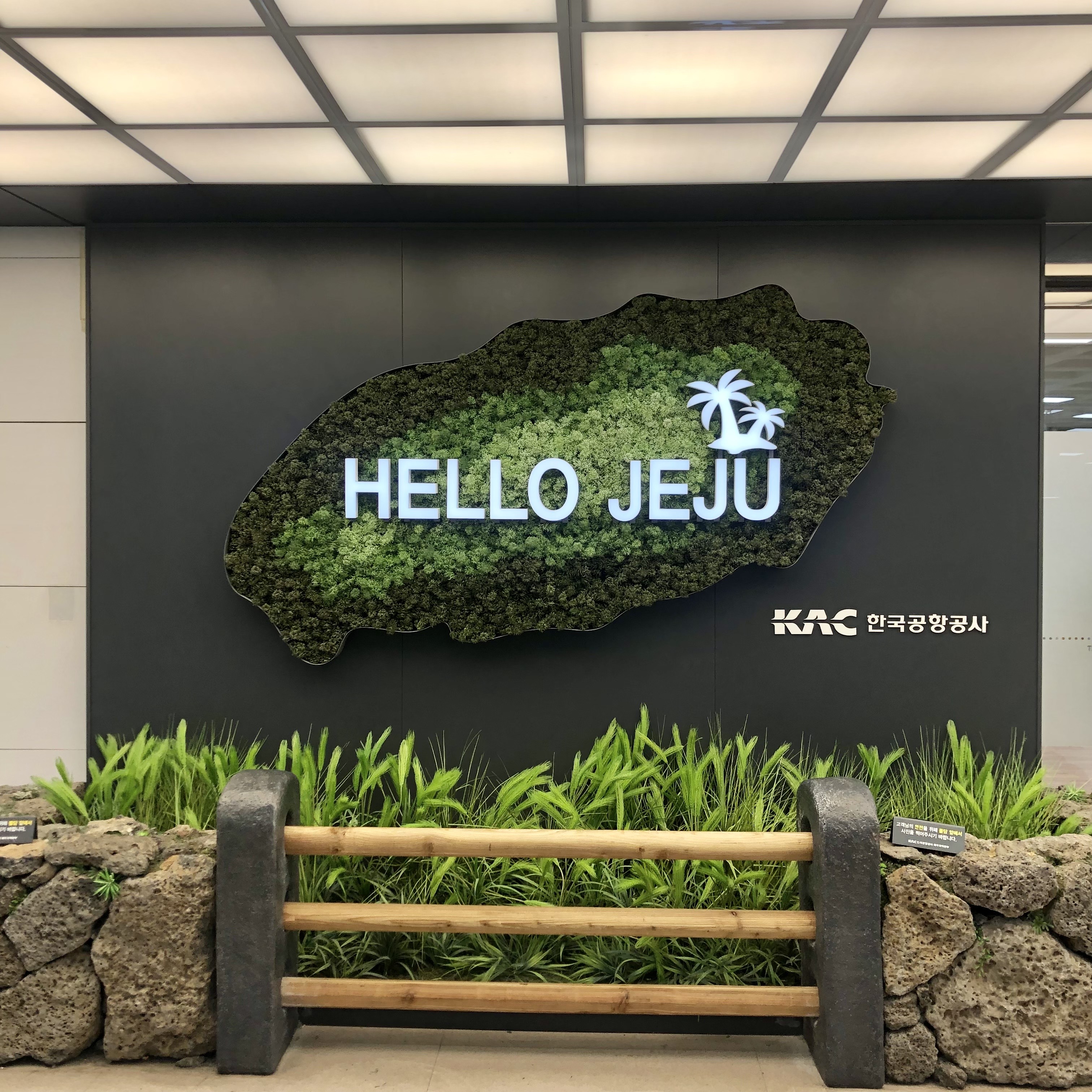 hellojeju